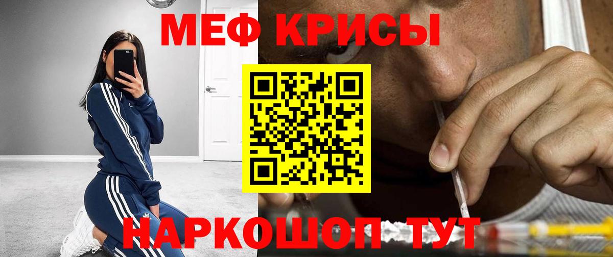 МЕФ Можга