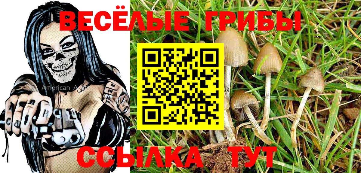 Псилоцибиновые грибы ЛСД Можга