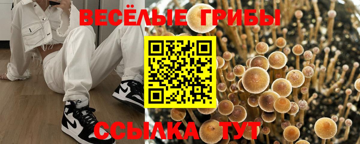 Псилоцибиновые грибы мухоморы  Вход с VPN  купить закладку  Можга 