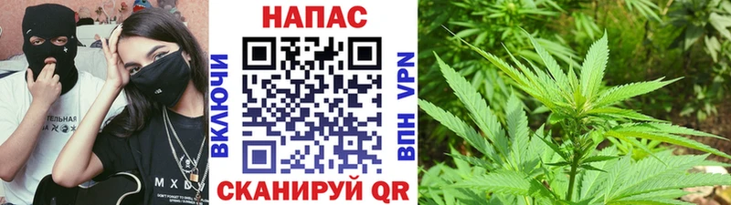 Шишки марихуана Ganja  Можга 
